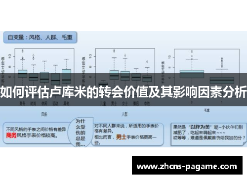 如何评估卢库米的转会价值及其影响因素分析 如何评估卢库米的转会价值及其影响因素分析