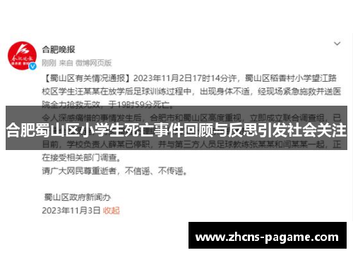 合肥蜀山区小学生死亡事件回顾与反思引发社会关注