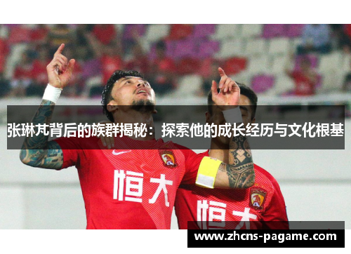 张琳芃背后的族群揭秘：探索他的成长经历与文化根基