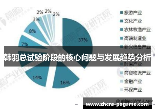 韩羽总试验阶段的核心问题与发展趋势分析